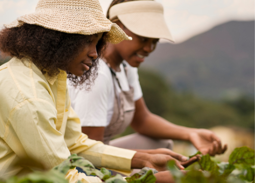 Untitled design – 2025-06-25T010122.868