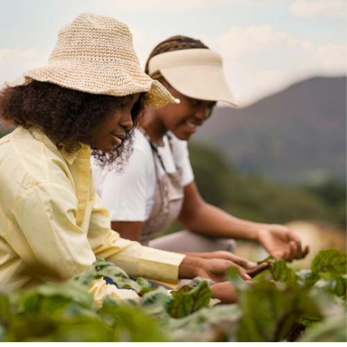 Untitled design – 2025-06-25T010122.868