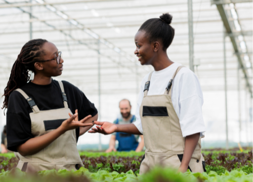 Untitled design – 2025-06-25T010220.443