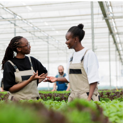 Untitled design – 2025-06-25T010220.443