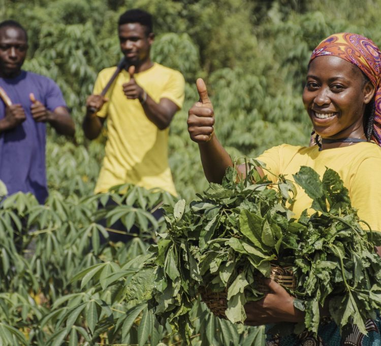 countryside-workers-out-field